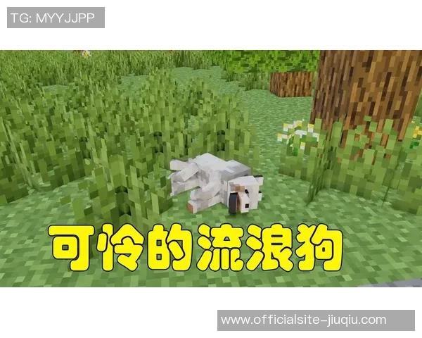 库恩卡与威斯特曼的精彩对决谁将赢得最终胜利分析与展望